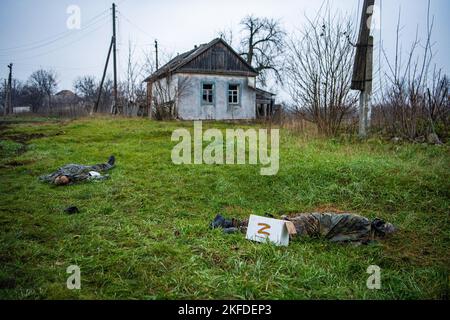 Makiiwka, Ukraine. 16.. November 2022. (ANMERKUNG DER REDAKTION: Bild zeigt den Tod)die Leichen zweier russischer Soldaten liegen auf dem Gras vor einem Haus im kürzlich befreiten Dorf Makiivka im Donbass. Vor einem der Leichen befindet sich eine Pappschachtel mit dem Buchstaben „Z“, einem Symbol der russischen Armee. Nur wenige Tage nach der Befreiung der Stadt von der russischen Besatzung durch ukrainische Truppen fanden schwere Kämpfe um das Dorf Makiiwka im Gebiet Luhansk statt. (Foto: Laurel Chor/SOPA Images/Sipa USA) Quelle: SIPA USA/Alamy Live News Stockfoto