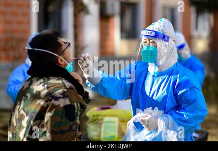 HOHHOT, CHINA - 18. NOVEMBER 2022 - Ein medizinisches Personal führt einen Nukleinsäuretest für Bewohner einer Gemeinde in Hohhot, Innere Mongolei, China, durch, 1. November Stockfoto