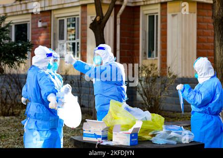 HOHHOT, CHINA - 18. NOVEMBER 2022 - Medizinische Mitarbeiter bereiten sich auf die Nukleinsäureprobennahme in einem Wohnkomplex in Hohhot, Innere Mongolei, China, 1. November vor Stockfoto