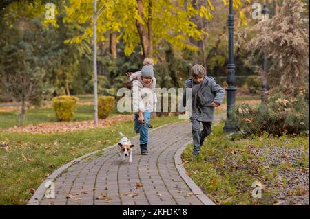 Bruder und Schwester gehen im Herbst mit dem Hund im Park. Junge und Mädchen laufen mit Jack russell Terrier an der Leine. Stockfoto