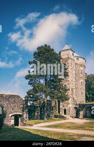 Schloss Stolpen in der Sächsischen Schweiz. Turm der Gefangenen Gräfin Cosel und Sitz der Bischöfe von Meißen. Alte Mauern, Ruinen und Burg. Stockfoto