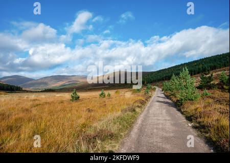 Eine abgelegene Schotterstraße in den Cairngorms Mountains in Nordschottland Stockfoto