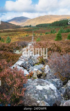 Eine alte Steinmauer, die in den Cairngorms-Bergen in Nordschottland in die Ferne ragt Stockfoto