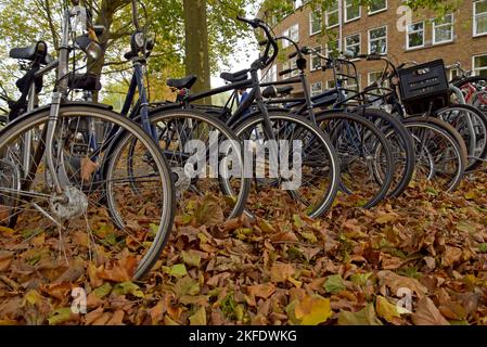 Im Herbst fährt eine Reihe geparkter Fahrräder auf einem Fahrradparkplatz in Amsterdam, Niederlande ab Stockfoto