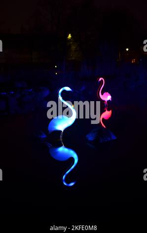 Neon Flamingo on Lake at Light Art Festival in Gruga Essen Deutschland Stockfoto