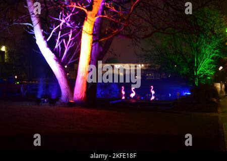 Neon Flamingo on Lake at Light Art Festival in Gruga Essen Deutschland Stockfoto