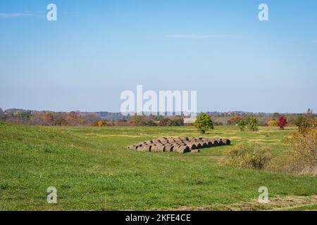 Landschaft von runden Heuballen, die im Oktober auf einem offenen Feld im ländlichen Osten von Ohio gelagert wurden. Stockfoto