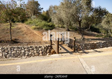 Eine kleine Holzbrücke in einem Park Stockfoto
