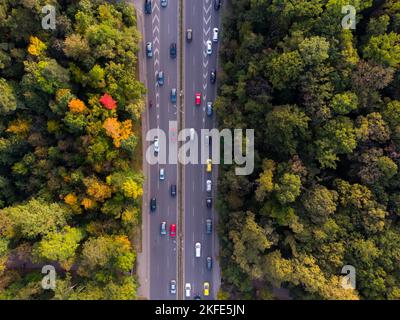 Autos fahren auf einem Boulevard durch einen Herbstwald in der bulgarischen Hauptstadt Sofia. Stockfoto