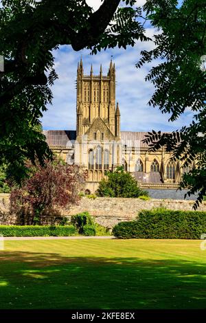 Die prächtige Kathedrale hat einen Blick über die Krocketwiese im Graben des Bishop's Palace, Wells, Somerset, England, Großbritannien Stockfoto