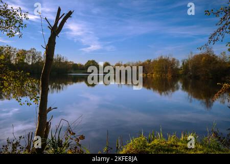 Panoramablick auf einen ruhigen See, umgeben von Bäumen und reflektierendem Wasser in Frankreich Stockfoto