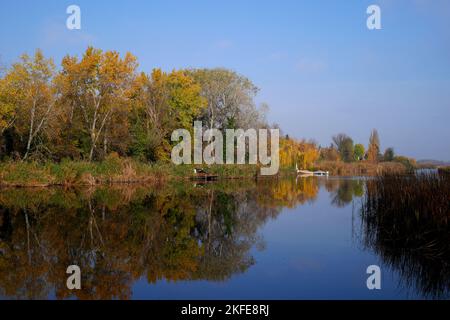 Herbstfarben an der Donau, Szigetszentmiklos, Csepel Island, Ungarn Stockfoto