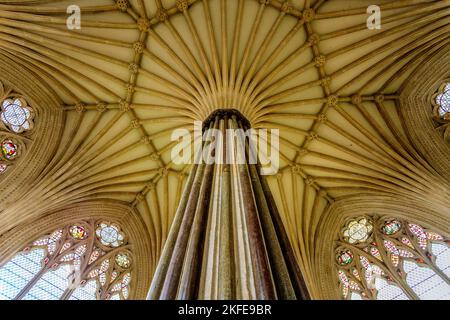 Die dekorativen Fan gewölbten Decke der Kapitelsaal in Wells Cathedral, Somerset, England, UK Stockfoto