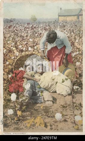 Entdeckt, im Land der King Cotton (Cotton Field), ca. 1898 - 1931. Stockfoto