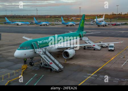 Ein Aer Lingus Airbus A320-200, Zulassung Ei-DEH, am Birmingham Airport in England. Stockfoto