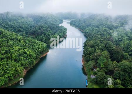 Luftaufnahme des tropischen Regenwaldes mit Nebel und Fluss, der am Morgen im Nationalpark durchfließt Stockfoto