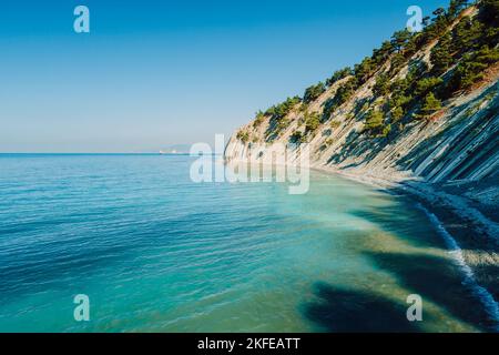 Luftaufnahme der Küste mit blauem Meer und felsigen Klippen mit Kiefernwald. Sommertag auf See Stockfoto