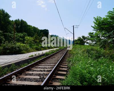 Eisenbahnstrecke durch den botanischen Garten in Batumi, Adjara, Georgia. Stockfoto