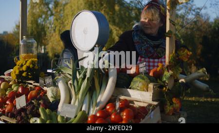 Der Bauer legt Obst und Gemüse aus. Der Eigentümer der Verkaufsstelle freut sich darauf, den produktiven Arbeitstag zu beginnen. Ältere Frau engagiert Lieblingsjob. Vegetarische und Bio-Lebensmittel. Landwirtschaft. Stockfoto