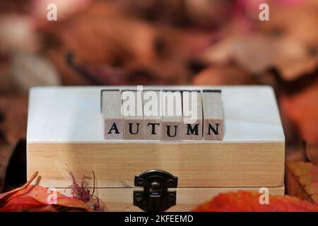 Holzbuchstaben für das Wort Herbst auf einer Holzkiste auf roter und oranger Farbe Herbst lassen Hintergrund. Das Herbstkonzept entfesselten.Selektiver Fokus. Stockfoto