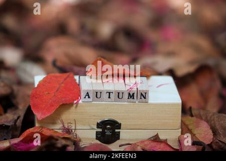 Holzbuchstaben für das Wort Herbst auf einer Holzkiste auf roter und oranger Farbe Herbst lassen Hintergrund. Das Herbstkonzept wird freigeschaltet. Selektiver Fokus. Stockfoto