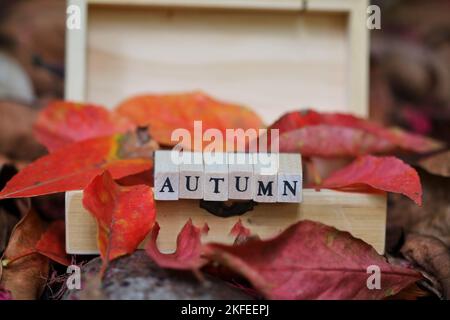 Holzbuchstaben für das Wort Herbst auf einer Holzkiste auf roter und oranger Farbe Herbst lassen Hintergrund. Das Herbstkonzept wird freigeschaltet. Stockfoto