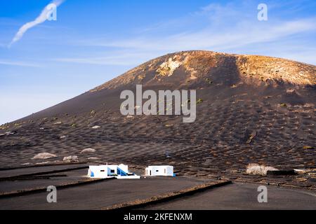Herbstatmosphäre in der Landschaft von La Geria mit Weinbergen und Vulkanen Stockfoto