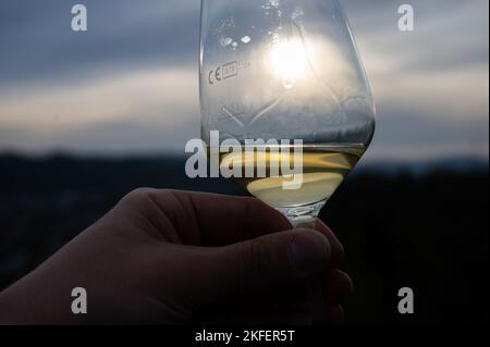 Gläser mit verschiedenen Weinsorten im Vordergrund Stockfoto