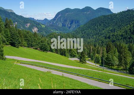 Berglandschaft bei Sauris, Friaul-Julisch Venetien, Italien, im Sommer Stockfoto