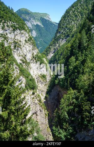 Berglandschaft bei Sauris, Friaul-Julisch Venetien, Italien, im Sommer Stockfoto