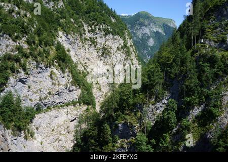 Berglandschaft bei Sauris, Friaul-Julisch Venetien, Italien, im Sommer Stockfoto