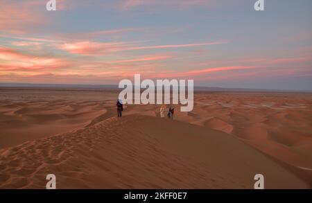 Eine Reise mit Beduinen und Kamelen durch die Sahara Marokkos Stockfoto