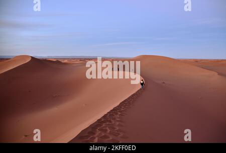 Eine Reise mit Beduinen und Kamelen durch die Sahara Marokkos Stockfoto