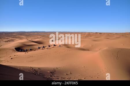 Eine Reise mit Beduinen und Kamelen durch die Sahara Marokkos Stockfoto