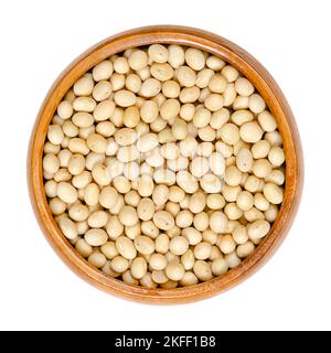 Rohe Sojabohnen in einer Holzschüssel. Ganze und getrocknete Samen der Hülsenfrüchte und Ölsaaten Glycine max, auch als Sojabohne oder Sojabohne bekannt. Stockfoto