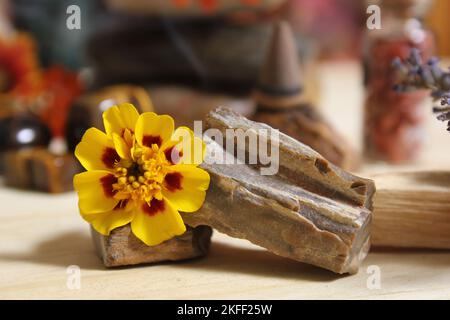 Gelbe Blumen auf versteinerten Holz mit Steinkristallen und Weihrauch Cone Shallow DOF Stockfoto