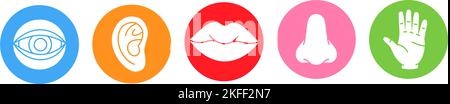 Fünf menschliche Sinne. Symbole für Sehen, Geruch, Hören, Berühren, Geschmack. Vektorgrafik. Symbol für Augen, Nase, Ohr, Hand, Mund. Menschliche Sinnesorgane eingestellt Stock Vektor
