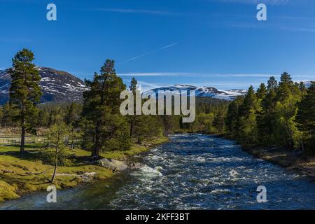Fluß und Bergpanorama im Gudbrandsdalen, Norwegen Stockfoto