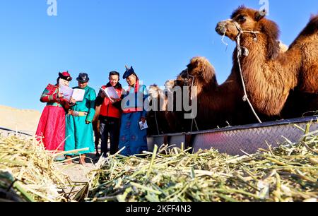 ZHANGYE, CHINA - 17. NOVEMBER 2022 - Mitarbeiter predigen den Hirten in der Stadt Zhangye den Geist des Kongresses der Kommunistischen Partei Chinas (KPCh) 20., Stockfoto