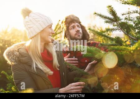 Pärchen haben Spaß auf der Suche nach einem Weihnachtsbaum Stockfoto