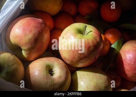 Frische rote und grüne Äpfel mit Mandarinen im Hintergrund. Weißer Plastikbeutel mit frischen Früchten. Erntekonzept. Nahaufnahme des Hintergrundbildes. Biologisch Stockfoto