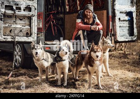 Bärtiger Mann sitzt hinten auf einem Lastwagen vor vier sibirischen Husky-Hunden, einem Dryland-Schlittenhund-Bikejoring-Team. Bärtiger Mann in schwarzem Hut und Jacke sieht an Stockfoto