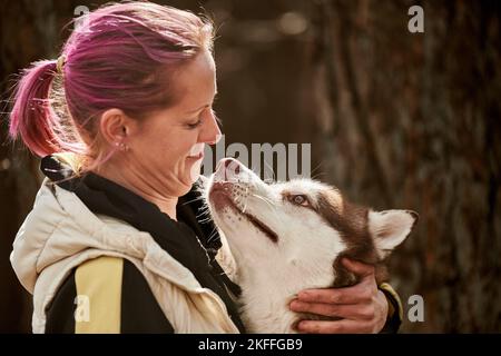 Frau mit rosa Haaren umarmt sibirischen Husky Hund, wahre Liebe zum Besitzer und Haustier, lustige Emotionen der braunen Husky Hund und Besitzer. Mädchen umarmt geliebten Husky Hund Stockfoto