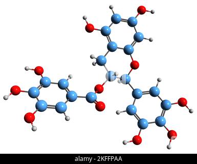 3D Bild der Skelettformel von Gallocatechin-Gallaten - molekulare chemische Struktur von Epigallocatechin-3-Gallat isoliert auf weißem Hintergrund Stockfoto