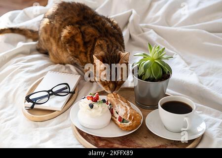 Lustige bengalkatze liegt neben einem Holztablett mit Kaffee, Kuchen und Notizbuch auf dem Bett. Gemütliches Wochenende Morgen zu Hause. Stockfoto