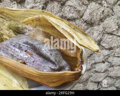 Tamale aus blauem Mais mit Kürbisblüten, in einer Maisschale verpackt in Oaxaca, Mexiko. Hausgemachtes Oaxacan-Essen. Stockfoto