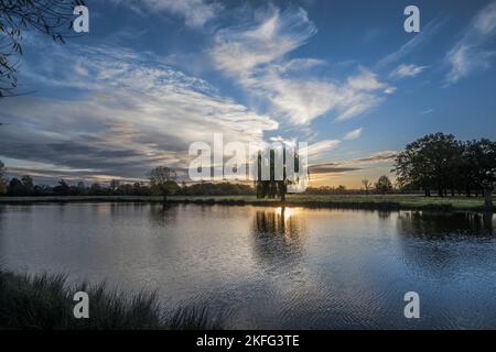 Sonnenaufgang am Leg of Lamb Teich im Buschigen Park Surrey UK Stockfoto