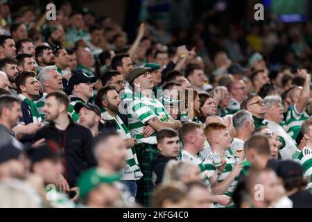 SYDNEY, AUSTRALIEN - 17. NOVEMBER: Celtic FC-Fans unterstützen das Team während des Spiels zwischen Sydney und Celtic im Allianz Stadium am 17. November 2022 in Sydney, Australien Stockfoto