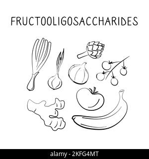 Fructooligosaccharides-containing food. Groups of healthy products containing vitamins and minerals. Set of fruits, vegetables, meats, fish and dairy. Stock Vektor