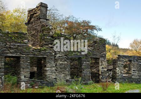 Foto der Hüttenruinen des Geisterdorfes Rhiwddolion, aufgenommen von der Roman Road in der Betws-Y-Coed Snowdonia National Park Gwynedd North Wales Uni Stockfoto